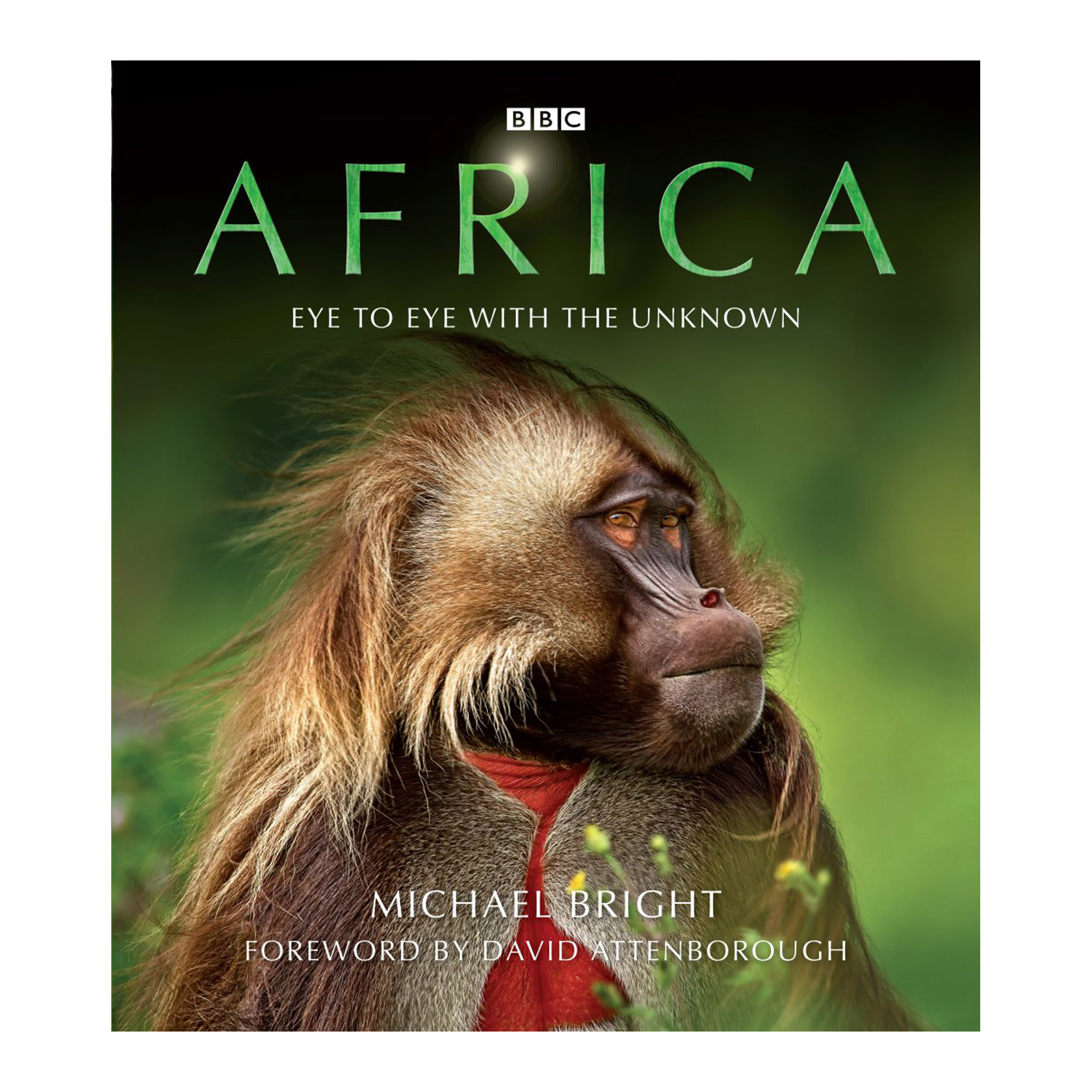 David Attenborough Africa 1080p Download Torrent