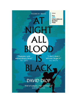 At Night All Blood is Black (Paperback)